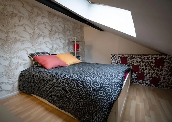 Cosy And Calm Apartment In The Center Of Nancy